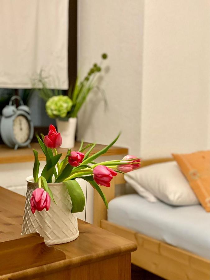 Ferienwohnung Am Weinberg Meißen Buitenkant foto